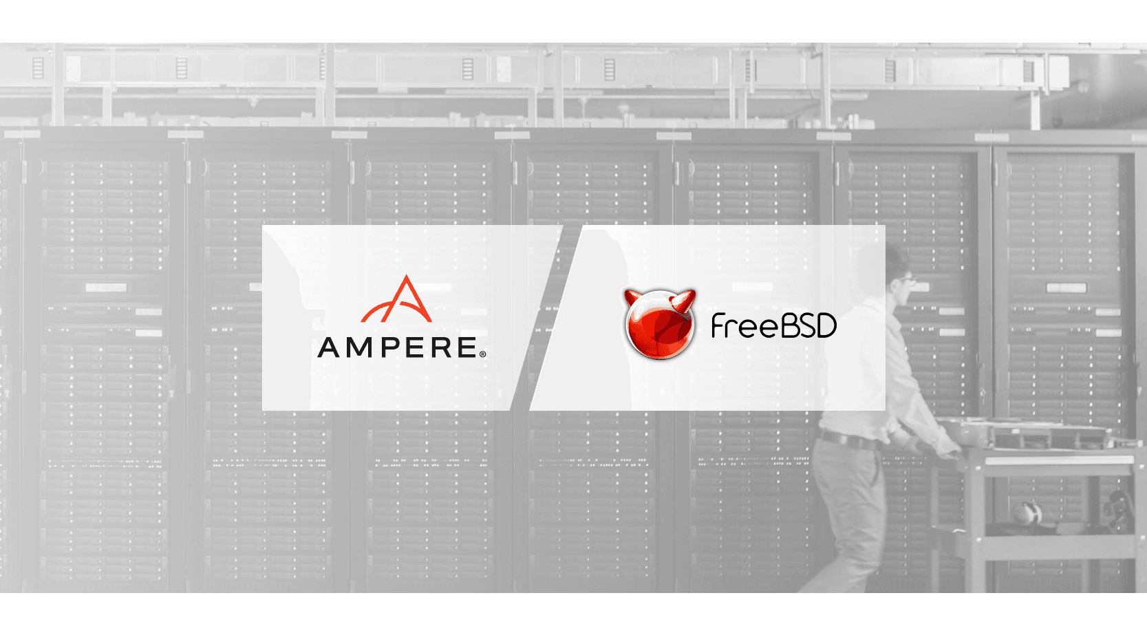 Ampere FreeBSD